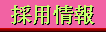 �̗p���